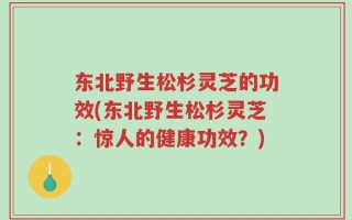 东北野生松杉灵芝的功效(东北野生松杉灵芝：惊人的健康功效？)