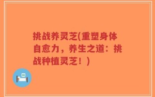 挑战养灵芝(重塑身体自愈力，养生之道：挑战种植灵芝！)