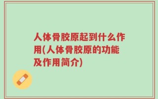 人体骨胶原起到什么作用(人体骨胶原的功能及作用简介)