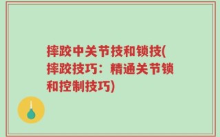 摔跤中关节技和锁技(摔跤技巧：精通关节锁和控制技巧)