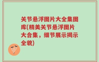 关节悬浮图片大全集图库(精美关节悬浮图片大合集，细节展示揭示全貌)