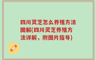 四川灵芝怎么养殖方法图解(四川灵芝养殖方法详解，附图片指导)