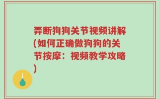 弄断狗狗关节视频讲解(如何正确做狗狗的关节按摩：视频教学攻略)