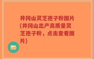 井冈山灵芝孢子粉图片(井冈山出产高质量灵芝孢子粉，点击查看图片)