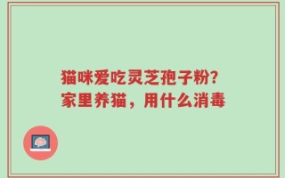 猫咪爱吃灵芝孢子粉？家里养猫，用什么消毒