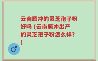 云南腾冲的灵芝孢子粉好吗 (云南腾冲出产的灵芝孢子粉怎么样？)