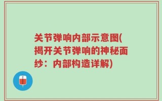 关节弹响内部示意图(揭开关节弹响的神秘面纱：内部构造详解)