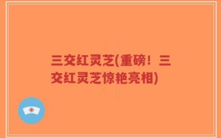 三交红灵芝(重磅！三交红灵芝惊艳亮相)