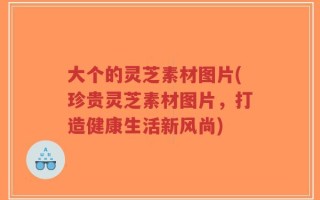 大个的灵芝素材图片(珍贵灵芝素材图片，打造健康生活新风尚)