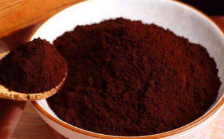 最新灵芝孢子粉品牌排行榜出炉，有你在使用的产品吗？