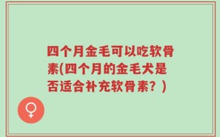四个月金毛可以吃软骨素(四个月的金毛犬是否适合补充软骨素？)