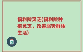 福利院灵芝(福利院种植灵芝，改善弱势群体生活)