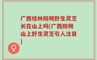 广西桂林阳朔野生灵芝长在山上吗(广西阳朔山上野生灵芝引人注目)