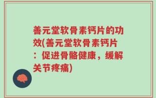 善元堂软骨素钙片的功效(善元堂软骨素钙片：促进骨骼健康，缓解关节疼痛)