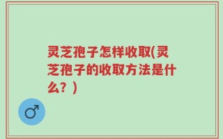 灵芝孢子怎样收取(灵芝孢子的收取方法是什么？)