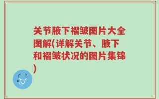 关节腋下褶皱图片大全图解(详解关节、腋下和褶皱状况的图片集锦)