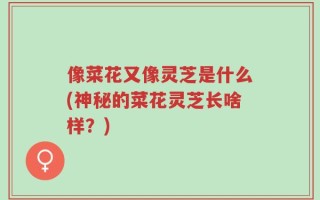 像菜花又像灵芝是什么(神秘的菜花灵芝长啥样？)