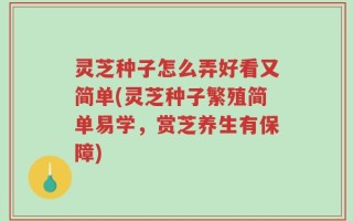 灵芝种子怎么弄好看又简单(灵芝种子繁殖简单易学，赏芝养生有保障)