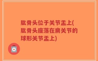 肱骨头位于关节盂上(肱骨头座落在肩关节的球形关节盂上)