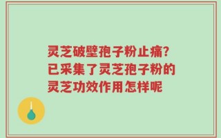 灵芝破壁孢子粉止痛？已采集了灵芝孢子粉的灵芝功效作用怎样呢