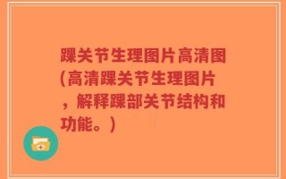 踝关节生理图片高清图(高清踝关节生理图片，解释踝部关节结构和功能。)