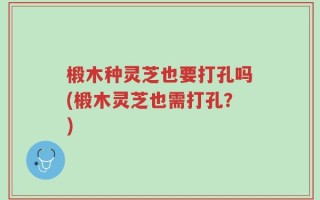 椴木种灵芝也要打孔吗(椴木灵芝也需打孔？)