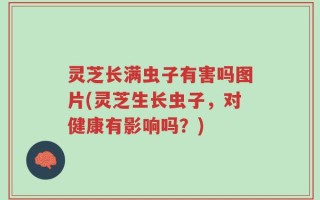 灵芝长满虫子有害吗图片(灵芝生长虫子，对健康有影响吗？)