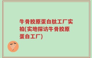 牛骨胶原蛋白肽工厂实拍(实地探访牛骨胶原蛋白工厂)