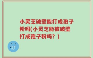 小灵芝破壁能打成孢子粉吗(小灵芝能被破壁打成孢子粉吗？)