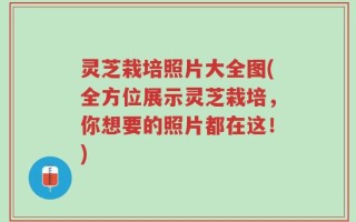 灵芝栽培照片大全图(全方位展示灵芝栽培，你想要的照片都在这！)