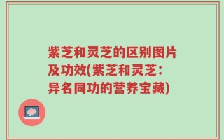 紫芝和灵芝的区别图片及功效(紫芝和灵芝：异名同功的营养宝藏)