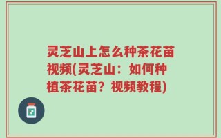 灵芝山上怎么种茶花苗视频(灵芝山：如何种植茶花苗？视频教程)