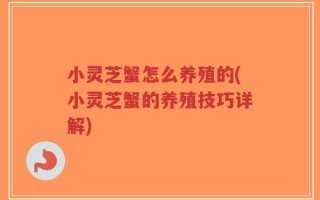 小灵芝蟹怎么养殖的(小灵芝蟹的养殖技巧详解)