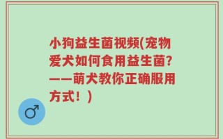 小狗益生菌视频(宠物爱犬如何食用益生菌？——萌犬教你正确服用方式！)