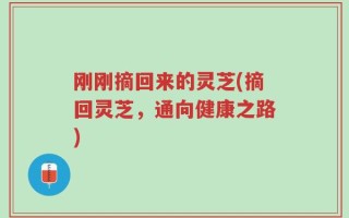 刚刚摘回来的灵芝(摘回灵芝，通向健康之路)