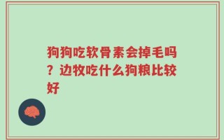 狗狗吃软骨素会掉毛吗？边牧吃什么狗粮比较好