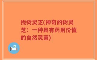 找树灵芝(神奇的树灵芝：一种具有药用价值的自然灵菌)