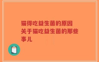 猫得吃益生菌的原因 关于猫吃益生菌的那些事儿