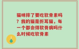 猫咪摔了要吃软骨素吗？我的猫是折耳猫，每一个都会得软骨病吗什么时候吃软骨素