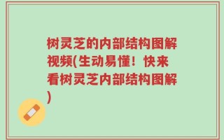 树灵芝的内部结构图解视频(生动易懂！快来看树灵芝内部结构图解)