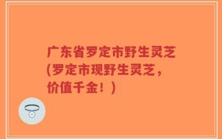 广东省罗定市野生灵芝(罗定市现野生灵芝，价值千金！)