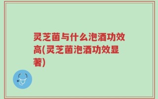 灵芝菌与什么泡酒功效高(灵芝菌泡酒功效显著)