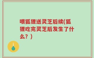 喂狐狸送灵芝后续(狐狸吃完灵芝后发生了什么？)