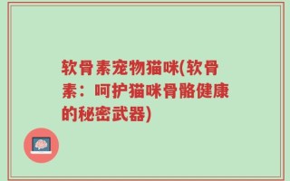 软骨素宠物猫咪(软骨素：呵护猫咪骨骼健康的秘密武器)