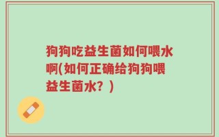 狗狗吃益生菌如何喂水啊(如何正确给狗狗喂益生菌水？)