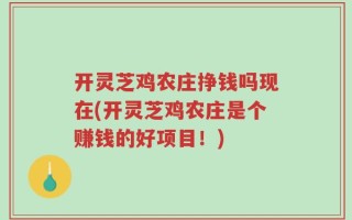 开灵芝鸡农庄挣钱吗现在(开灵芝鸡农庄是个赚钱的好项目！)
