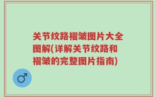 关节纹路褶皱图片大全图解(详解关节纹路和褶皱的完整图片指南)