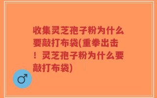 收集灵芝孢子粉为什么要敲打布袋(重拳出击！灵芝孢子粉为什么要敲打布袋)