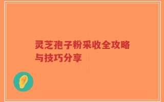 灵芝孢子粉采收全攻略与技巧分享
