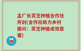 孟厂长灵芝种植合作社开封(合作社助力乡村振兴：灵芝种植成效显著)